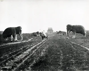 Allee der Wächtertiere zu den Ming-Gräbern, Peking, um 1868-70